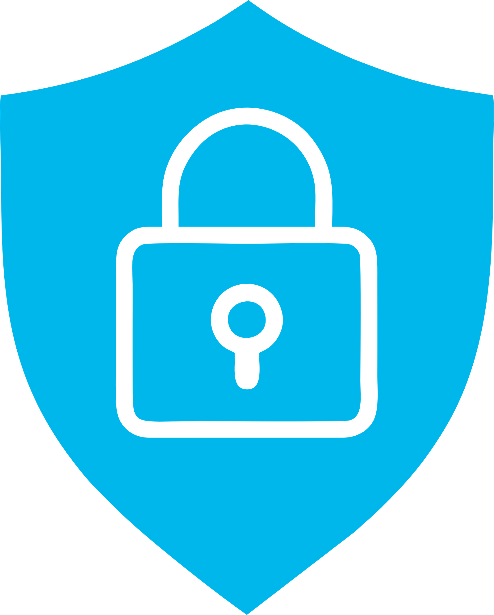 Security Icon